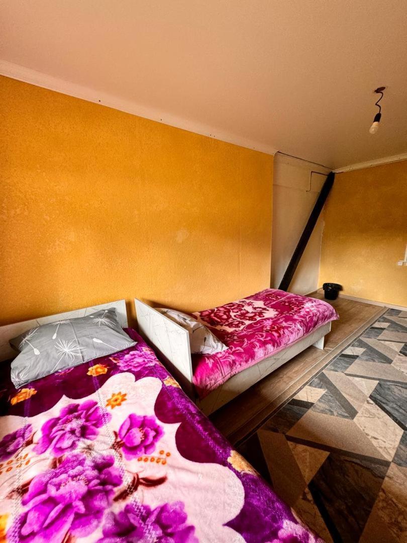 Ala-Kul Guesthouse In Altyn-Arashan Karakol Εξωτερικό φωτογραφία