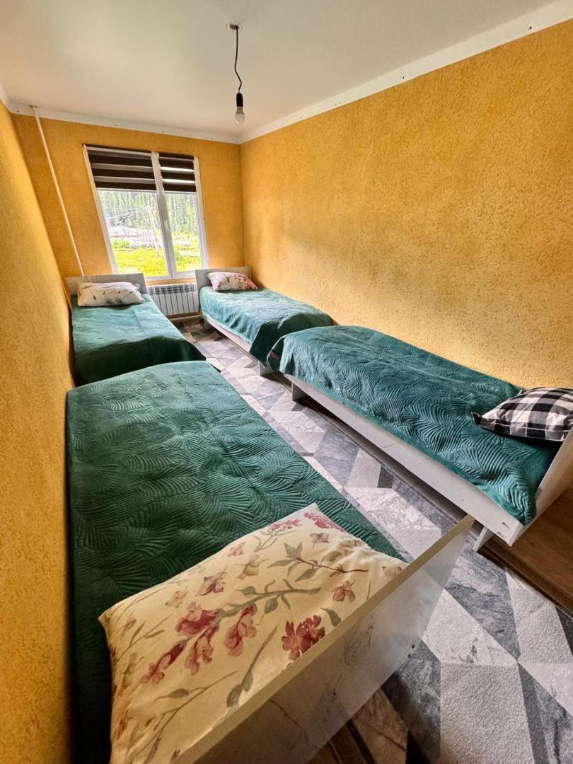 Ala-Kul Guesthouse In Altyn-Arashan Karakol Εξωτερικό φωτογραφία