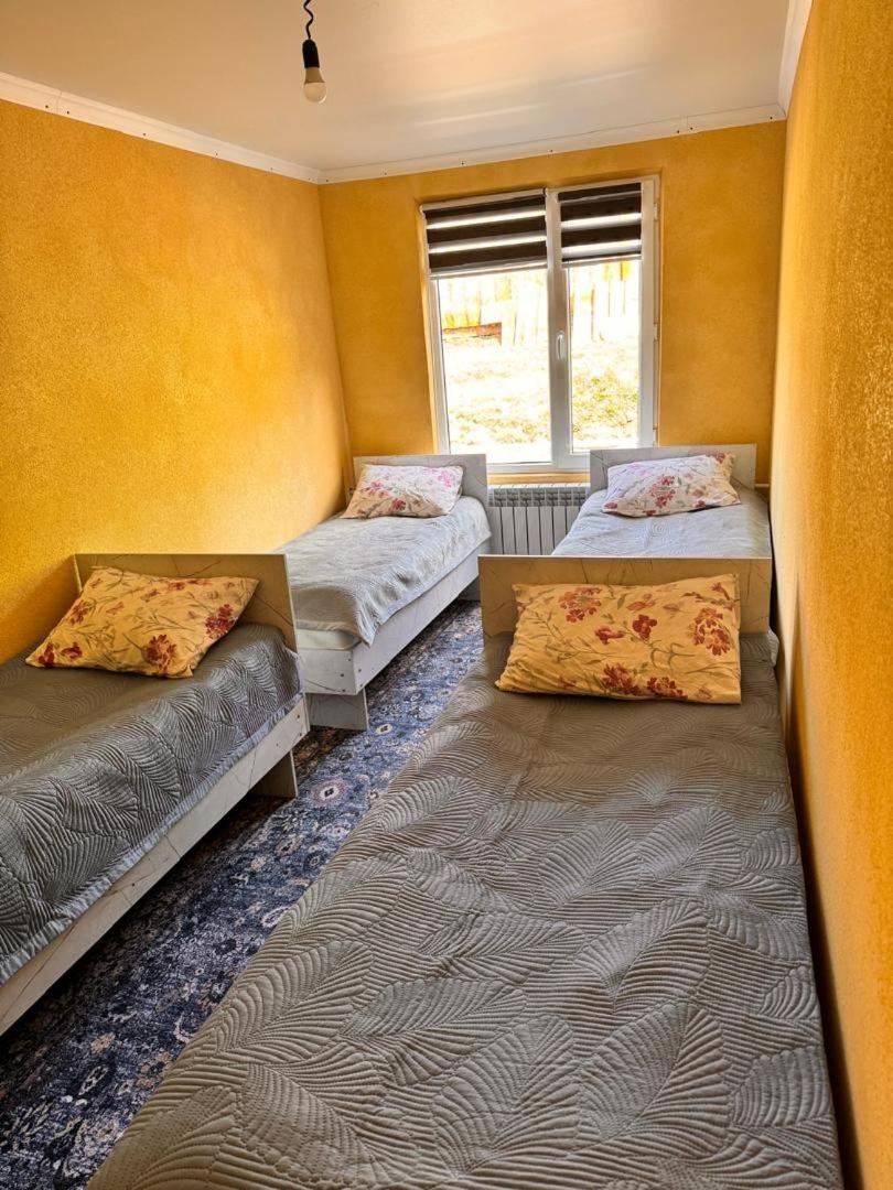 Ala-Kul Guesthouse In Altyn-Arashan Karakol Εξωτερικό φωτογραφία