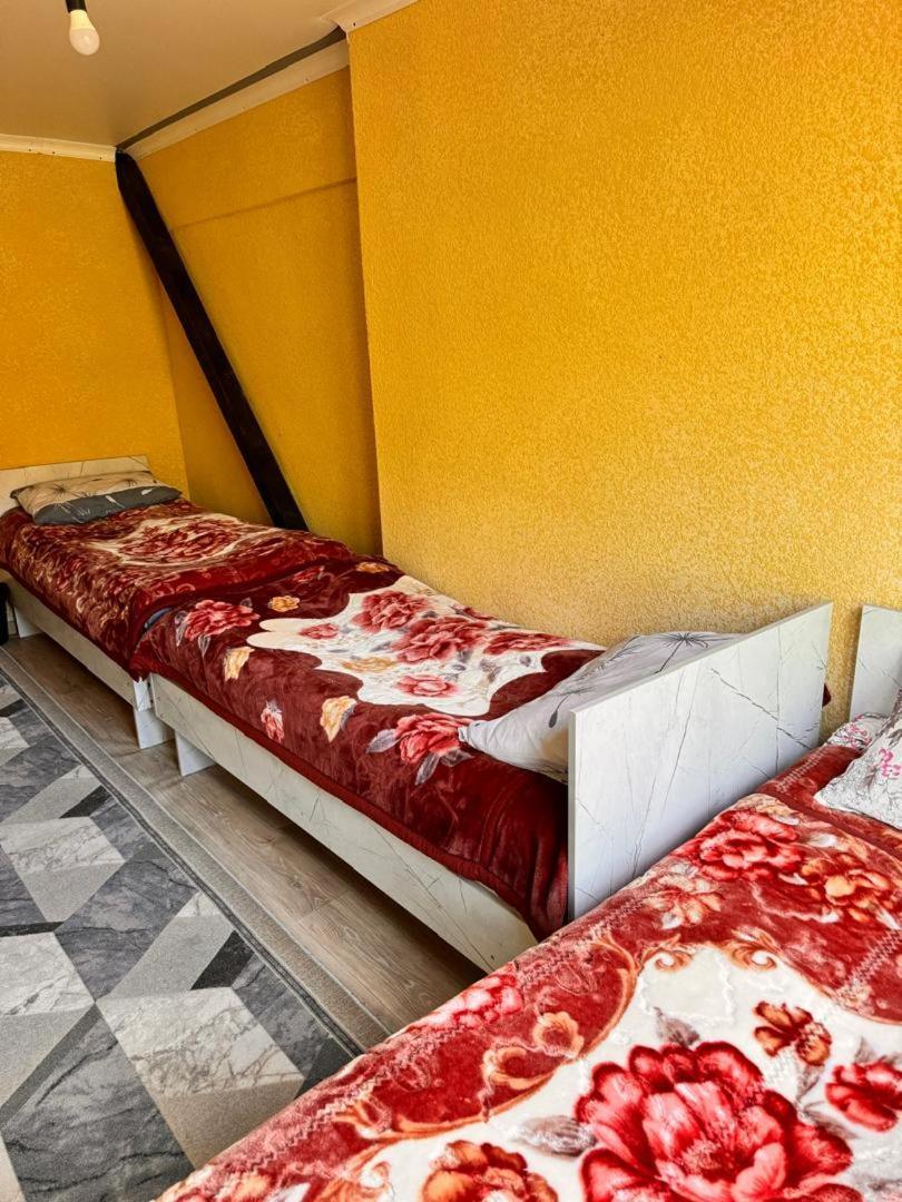 Ala-Kul Guesthouse In Altyn-Arashan Karakol Εξωτερικό φωτογραφία